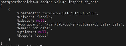 Terminal zeigt docker volume inspect db_data als JSON mit CreatedAt, Driver, Labels, Mountpoint, Name, Options, Scope.