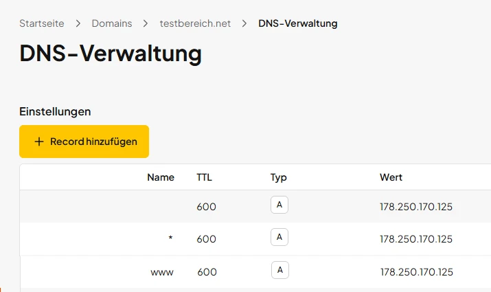 DNS-Verwaltung: A-Einträge für @, *, www; TTL 600; Wert 178.250.170.125; gelber Button 'Record hinzufügen'.