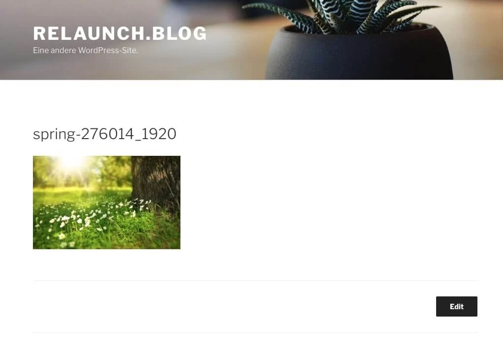 Eine Detailseite eines Bildes im Frontend