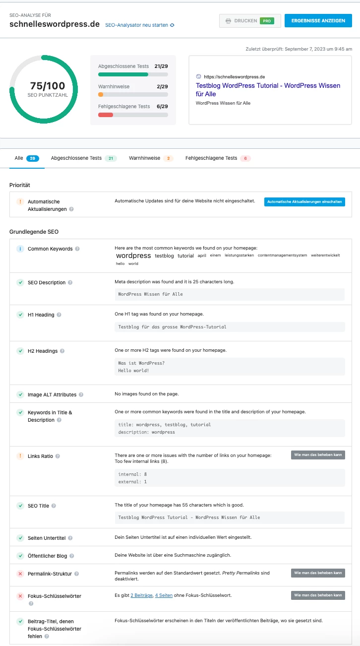 SEO-Analysator