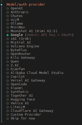 Terminalmenü mit Liste von Modell-/Auth-Anbietern; Google (Gemini API key + OAuth) durch grünen Punkt markiert.