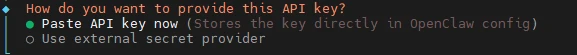 Dialog zur API-Key-Eingabe mit zwei Optionen: Paste API key now oder Use external secret provider.