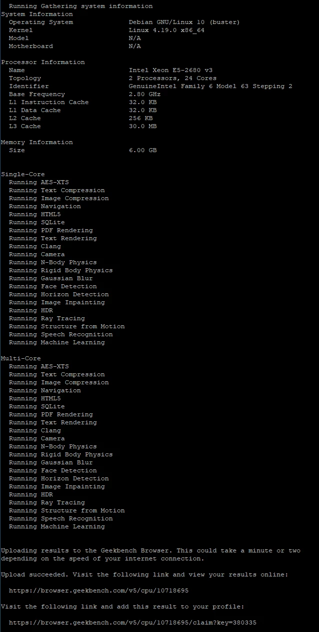 Schwarzer Bildschirm mit weißem Monospace-Text; Terminal-Fenster zeigt Systeminfos und viele 'Running'-Zeilen.