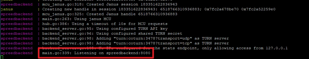 Schwarzes Terminalfenster mit magentafarbenen Logzeilen; am unteren Rand steht eine Zeile mit 'Listening on' und Port 8080.