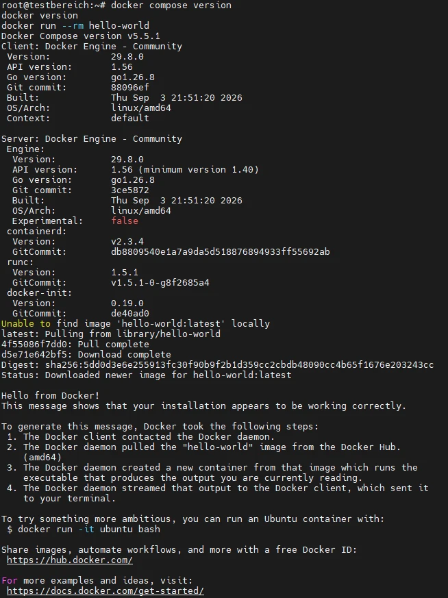 Screenshot eines Terminalfensters mit Docker-Informationen: Docker-Versionen (Client/Server), Build-IDs und Daemon-Hinweis.