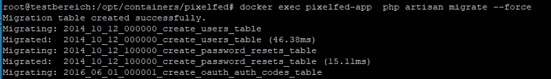 Terminalausgabe: docker exec pixledf-app php artisan migrate --force; Migrationen für Tabellen wie create_users_table, create_password_resets_table, create_oauth_auth_codes_table