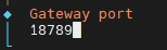 Dunkles Bildschirmfenster zeigt orangefarbenen Text 'Gateway port' und darunter die Zahl 18789; links ein hellblauer Cursor.