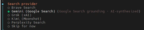 Dunkles Terminalfenster zeigt eine Liste von Suchanbietern: Brave Search, Gemini, Grok, Kimt, Perplexity, Skip for now.